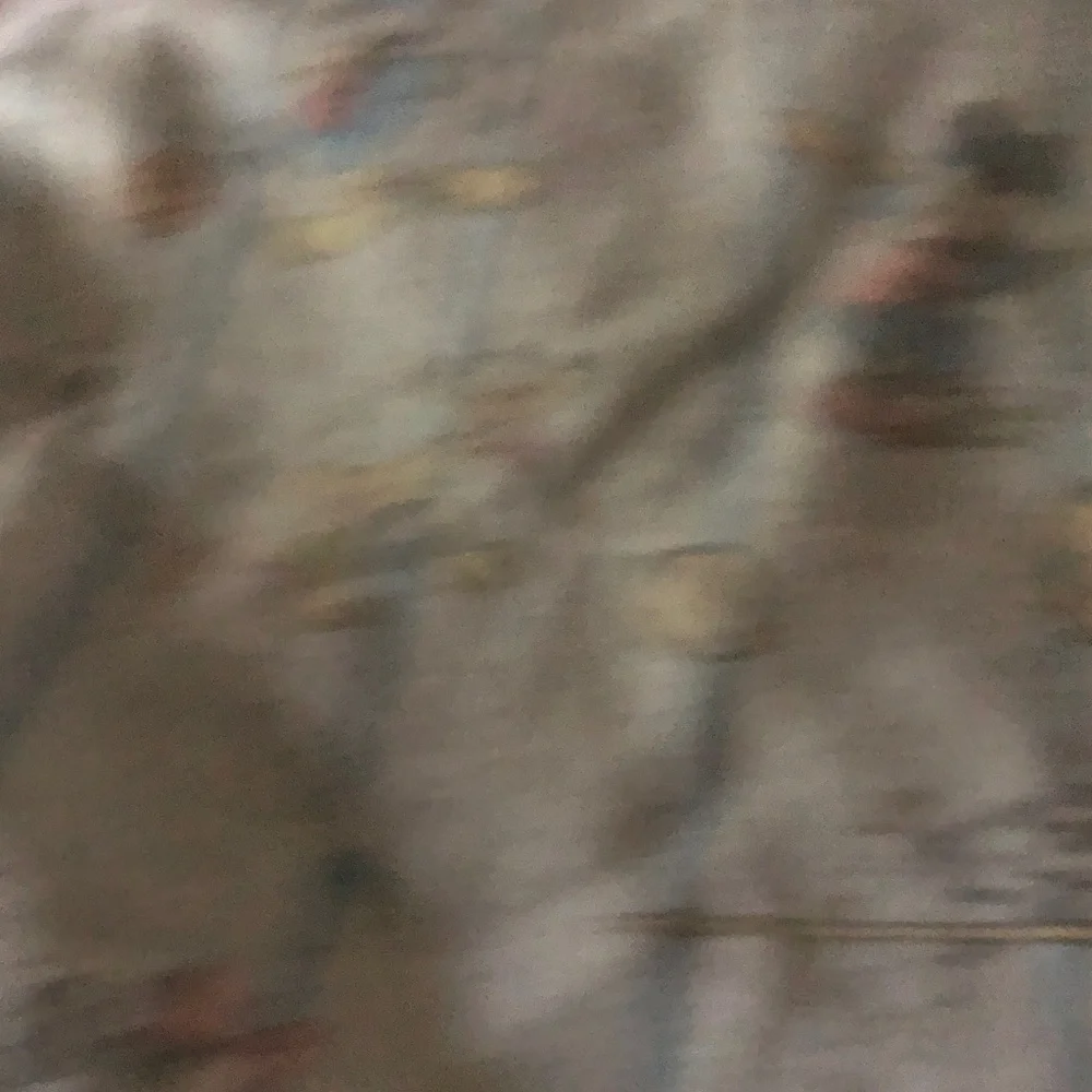 Disney Cream Fleece Donald Duck Throw with Blue and Tan Accents